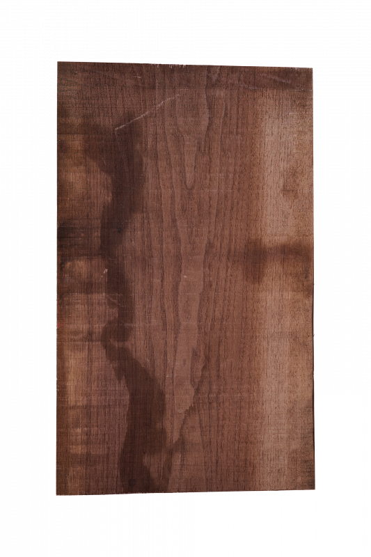 Body Nussbaum, amerik. 1-tlg., Einzelstück #012